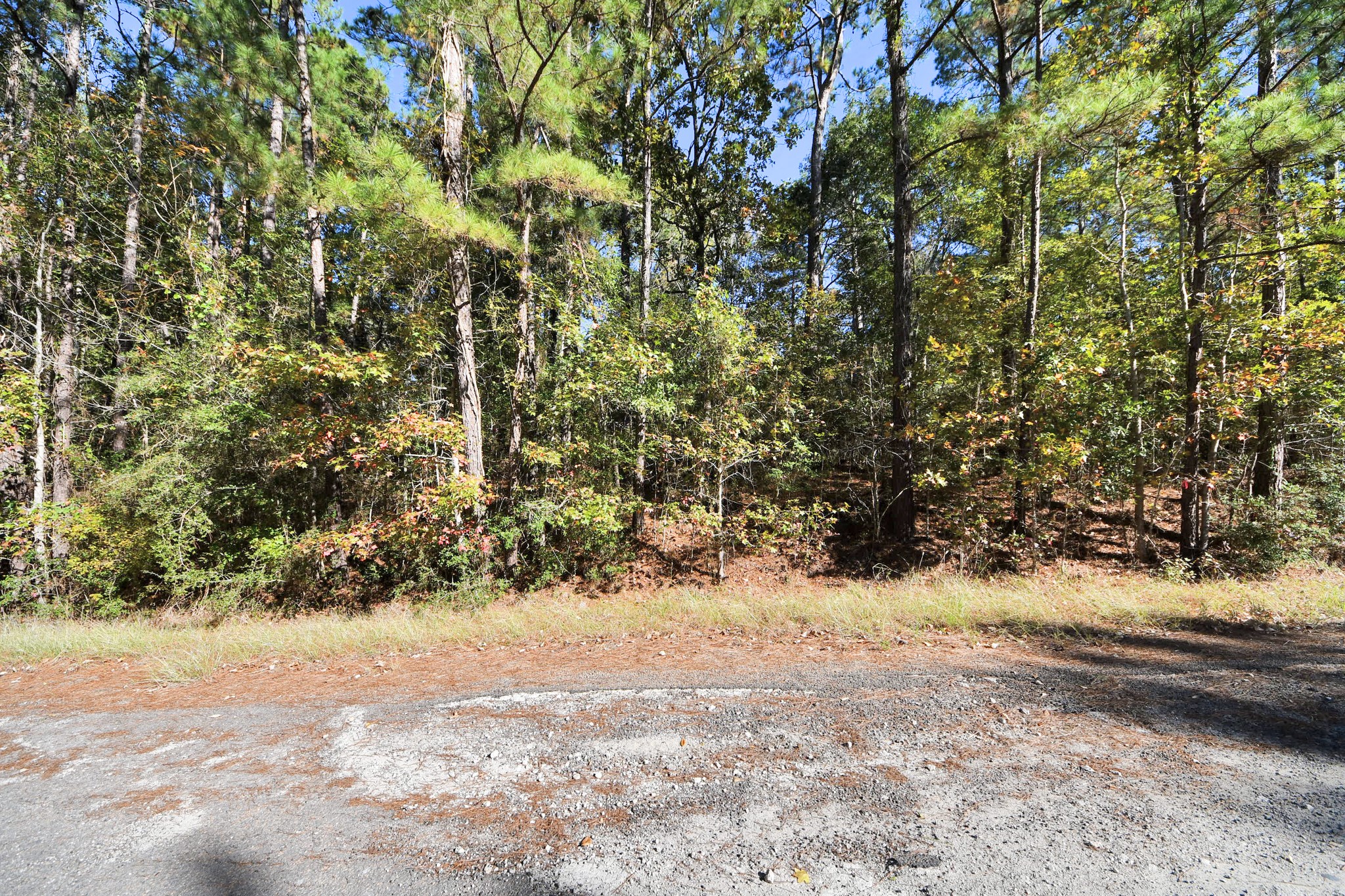 Tbd Deer Ridge Drive Livingston, TX 77351 - Photo 13 of 15 a view of yard covered with snow