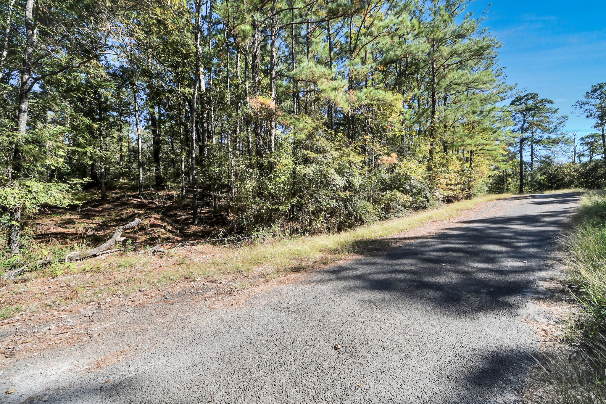 Tbd Deer Ridge Drive Livingston, TX 77351 - Photo 14 of 15 a view of a dirt road with trees