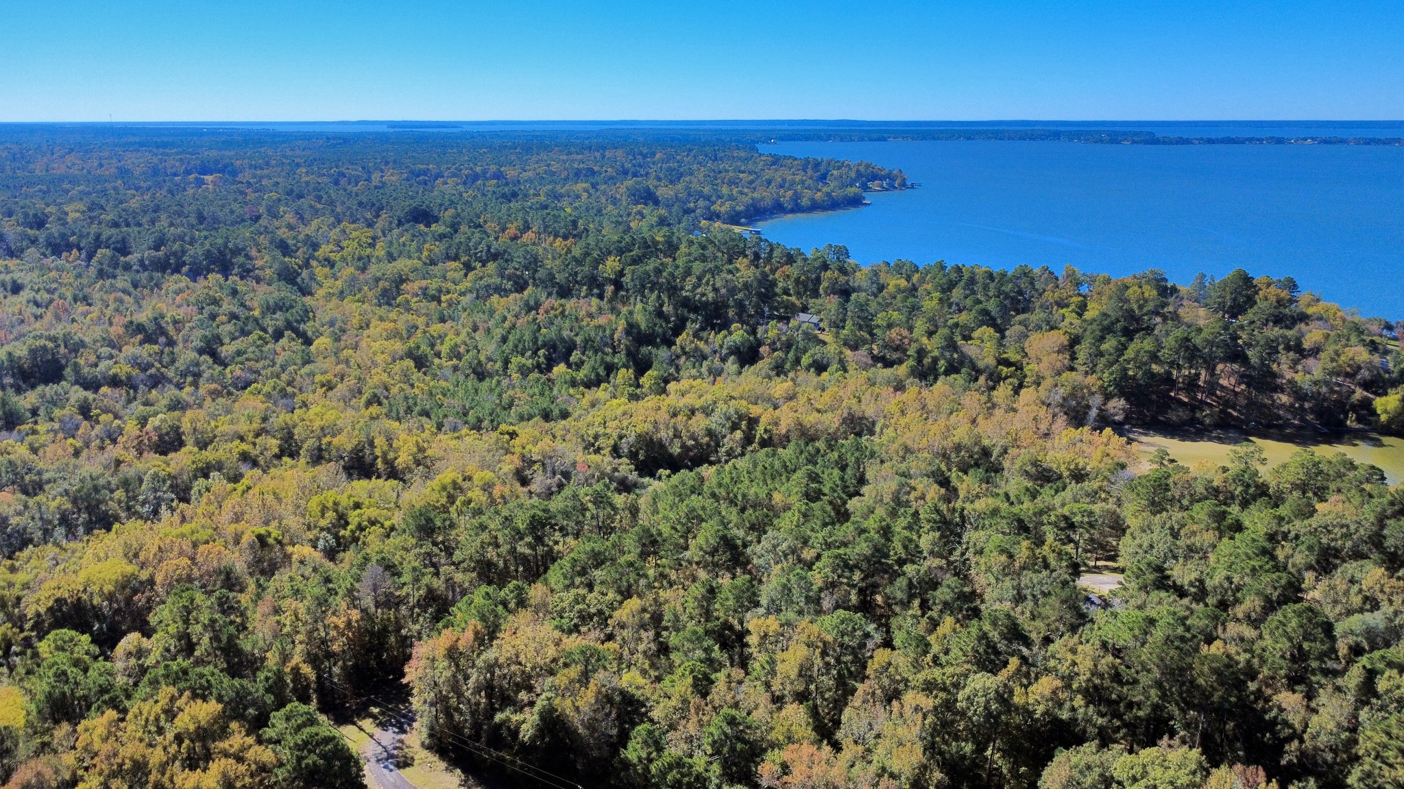 Tbd Deer Ridge Drive Livingston, TX 77351 - Photo 3 of 15