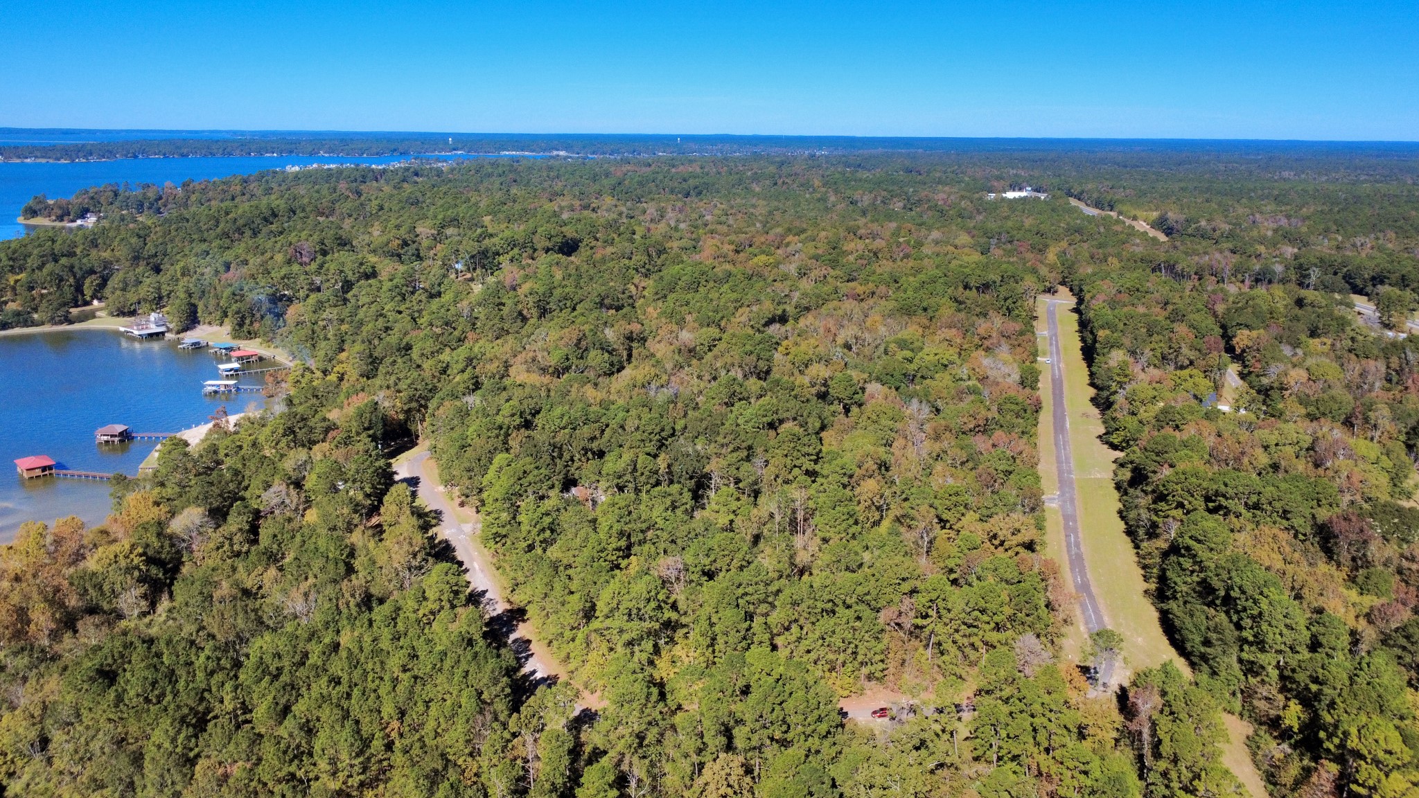 Tbd Deer Ridge Drive Livingston, TX 77351 - Photo 5 of 15 a view of a yard with an outdoor space