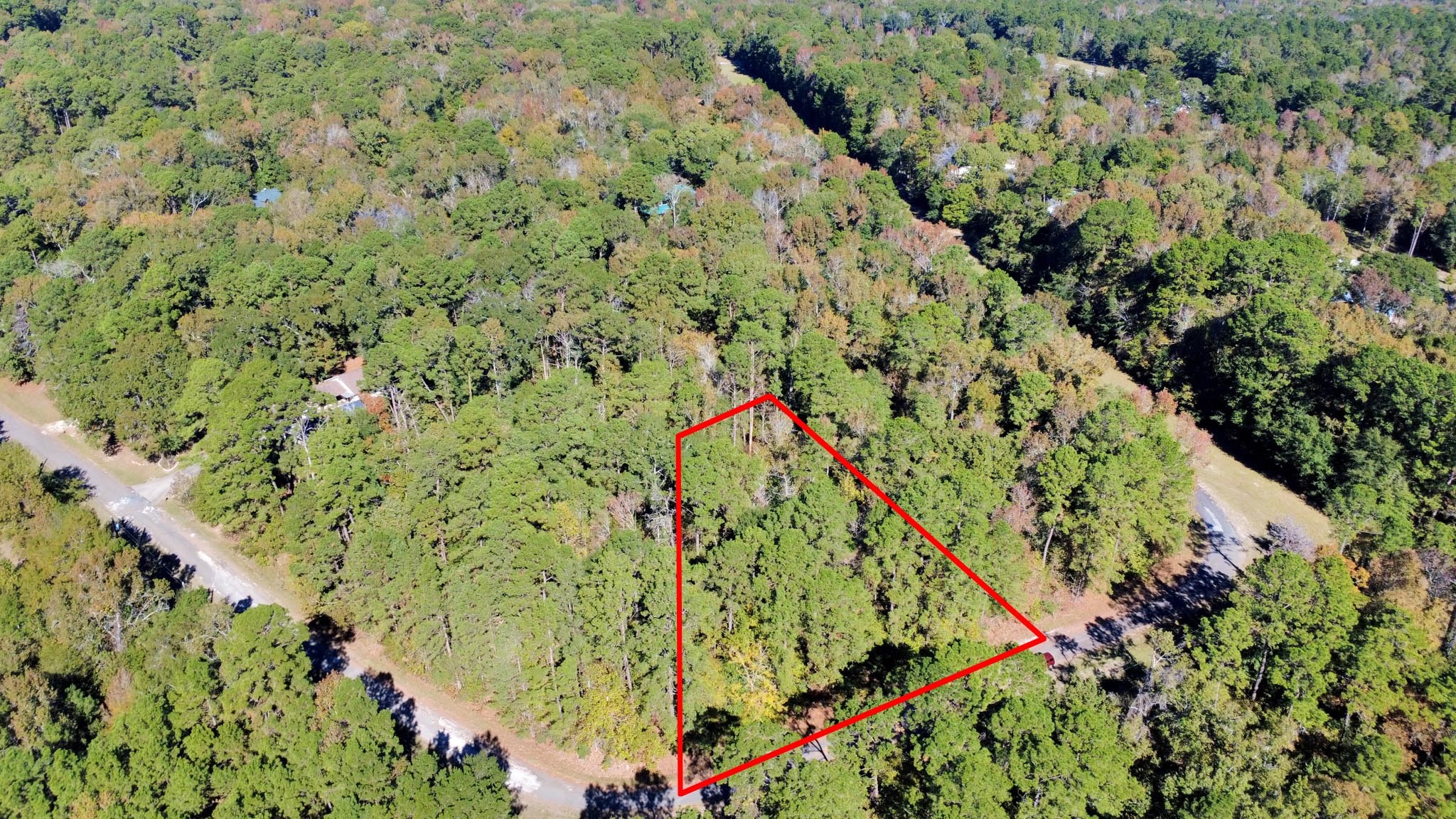 Tbd Deer Ridge Drive Livingston, TX 77351 - Photo 10 of 15 a view of a garden with a plant