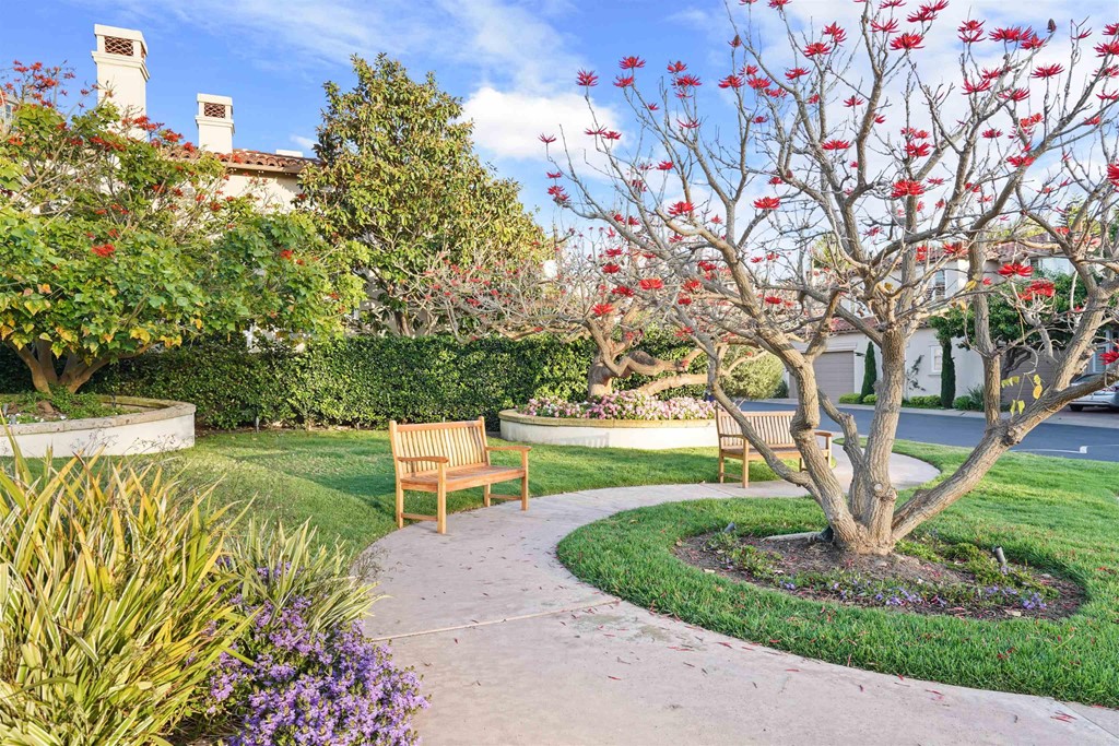 9735 Claiborne Square La Jolla, CA 92037 - Photo 52 of 60 a view of a garden with plants and trees