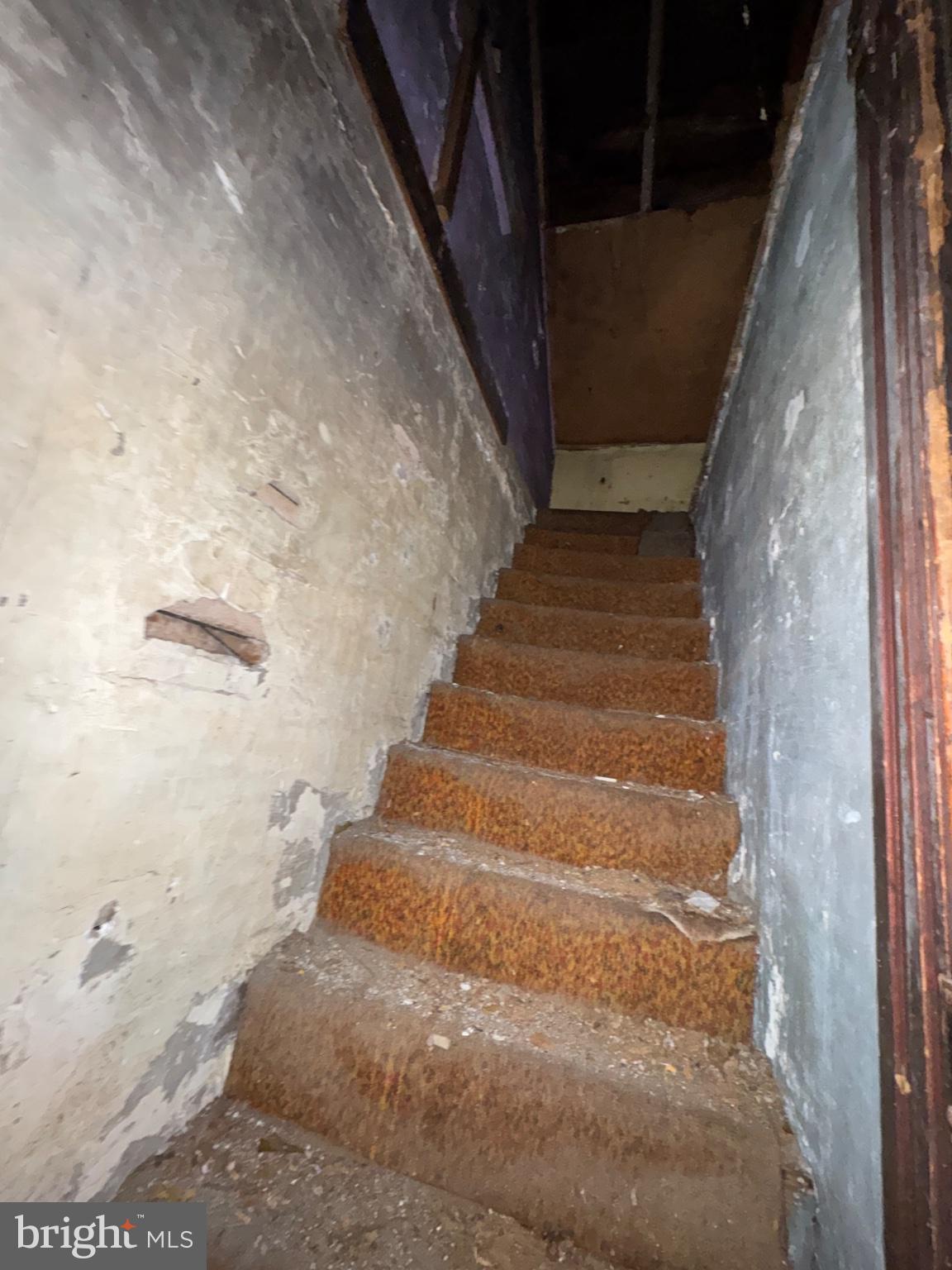 1007 Catasauqua Road Whitehall, PA 18052 - Photo 14 of 14 Weathered stairs to hidden stories.