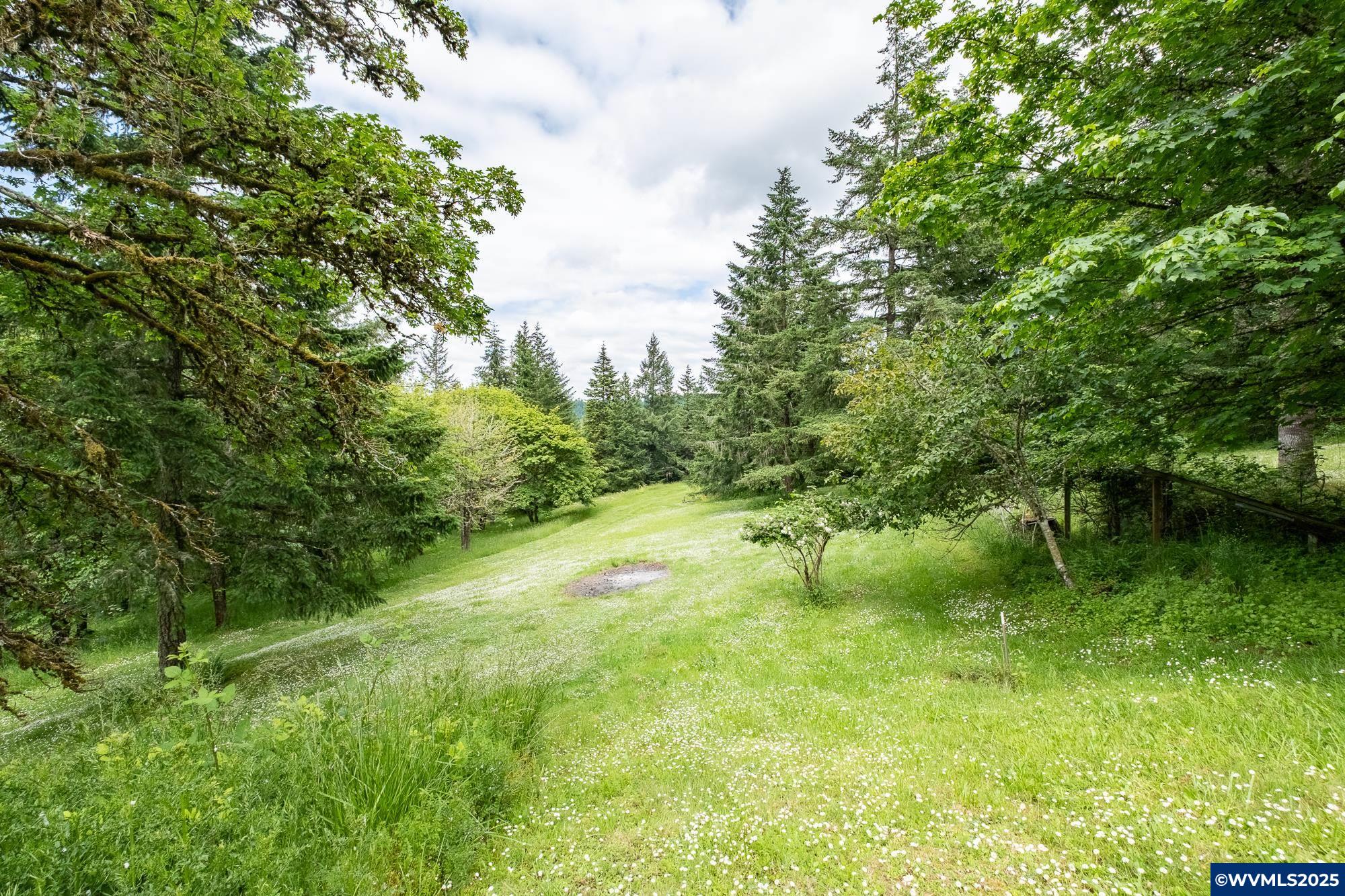36279 Middle Ridge Road Lebanon, OR 97355 - Photo 42 of 50