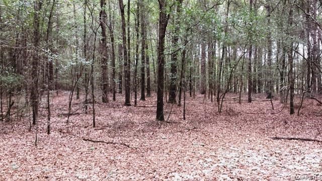 Tbd Spring Creek Road Geneva, AL 36340 - Photo 8 of 11 Gallery Image 8
