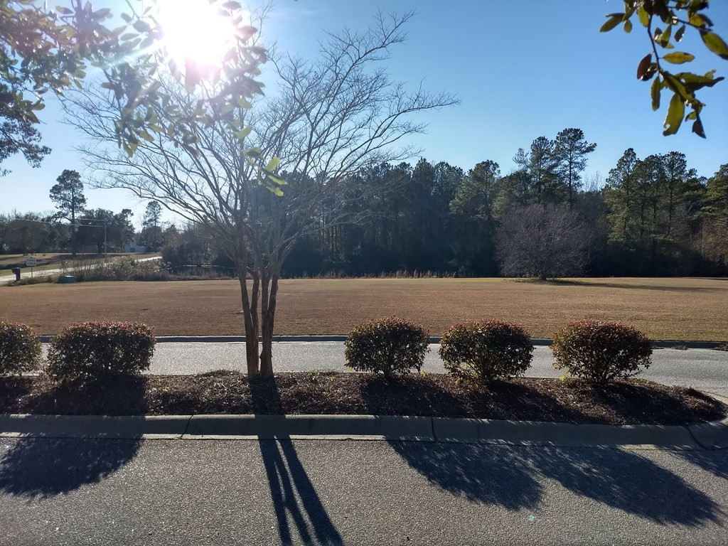 1015 McKenzie Road Manning, SC 29102 - Photo 3 of 9 Gallery Image 3