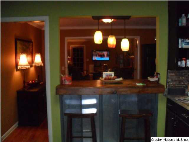 308 Alexander Road Pell City, AL 35128 - Photo 3 of 15