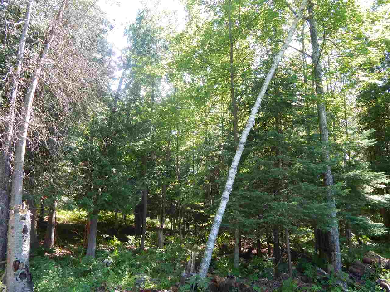 6221 Fitzwater Road Gladwin, MI 48624 - Photo 71 of 98 1803924-71.JPG
