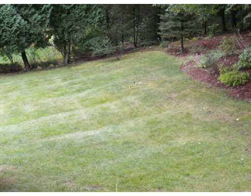 15 Larkspur Road Needham, MA 02492 - Photo 4 of 9