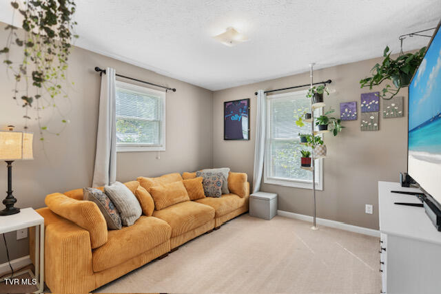 128 Whispering Ridges Road Greeneville, TN 37743 - Photo 23 of 47 DSC08278