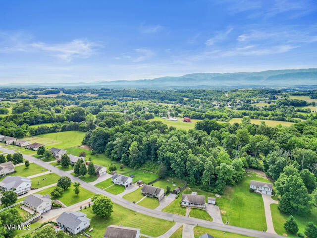 128 Whispering Ridges Road Greeneville, TN 37743 - Photo 45 of 47 DJI_0986