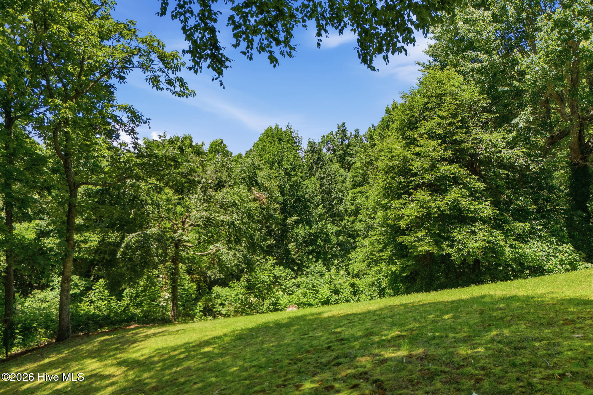 820 Chimney Ridge Road Topton, NC 28781 - Photo 61 of 73