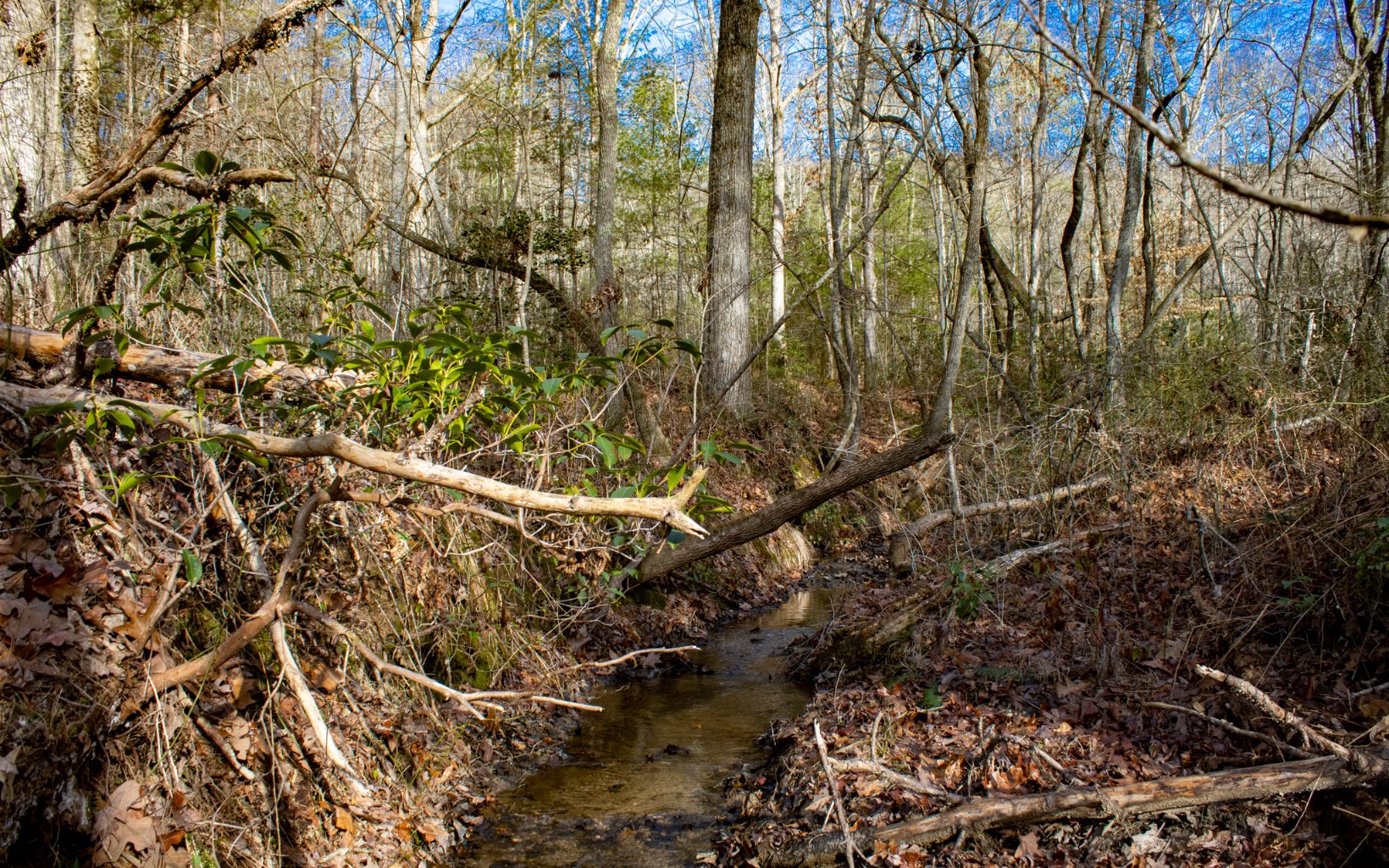 Burgertown Road Copperhill, TN 37317 - Photo 11 of 12 Additional View