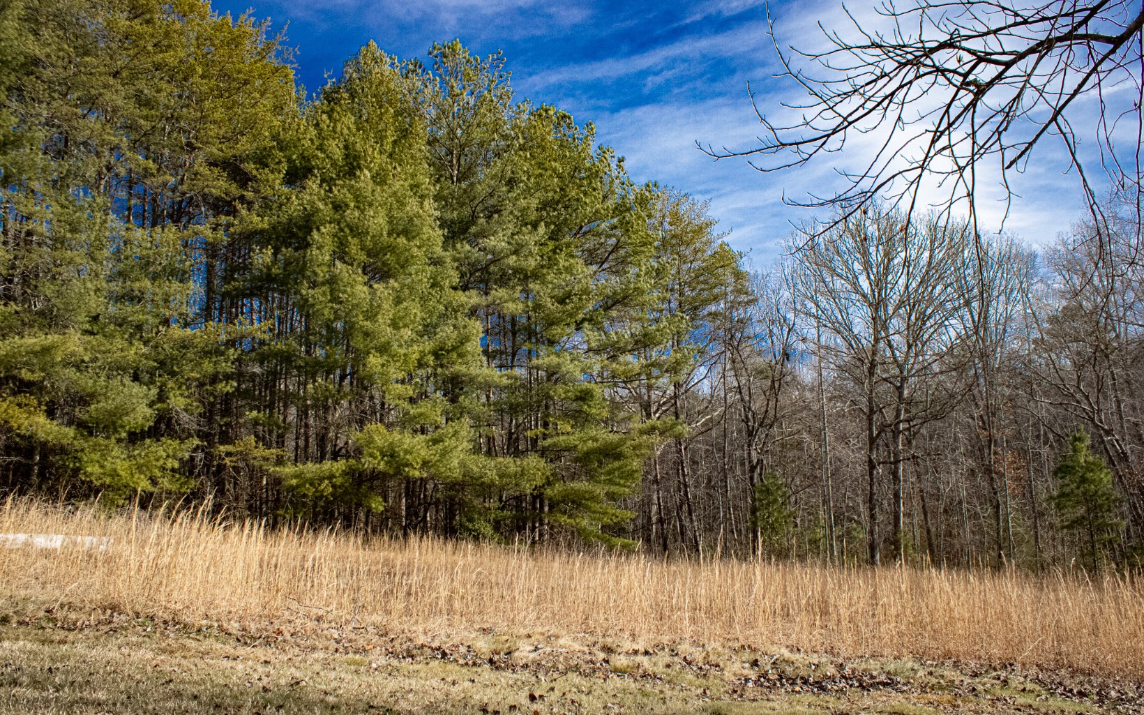 Burgertown Road Copperhill, TN 37317 - Photo 2 of 12 Additional View