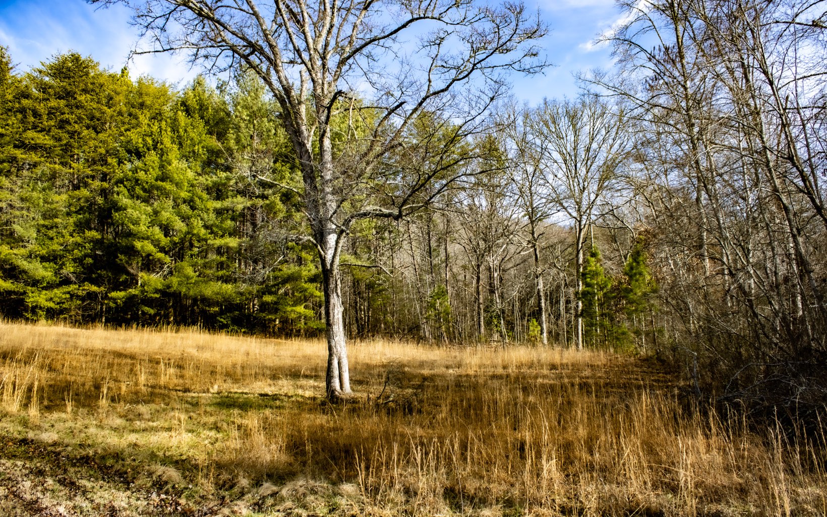 Burgertown Road Copperhill, TN 37317 - Photo 3 of 12 Additional View