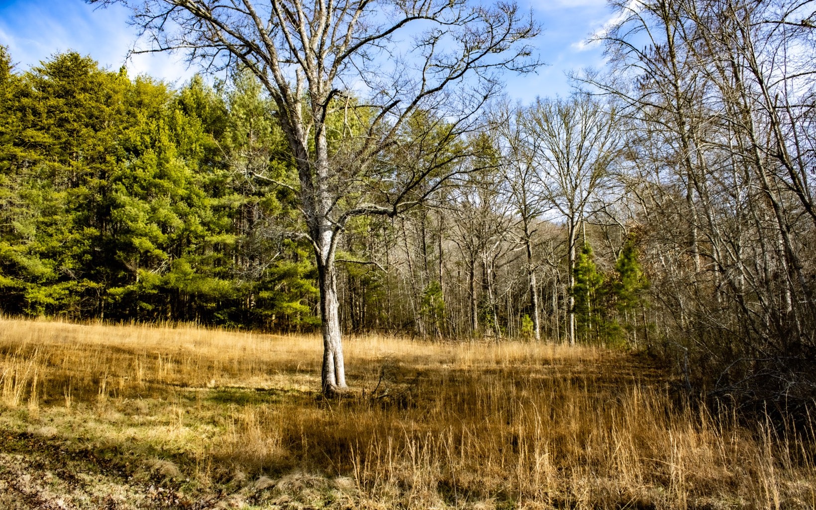 Burgertown Road Copperhill, TN 37317 - Photo 4 of 12 Additional View