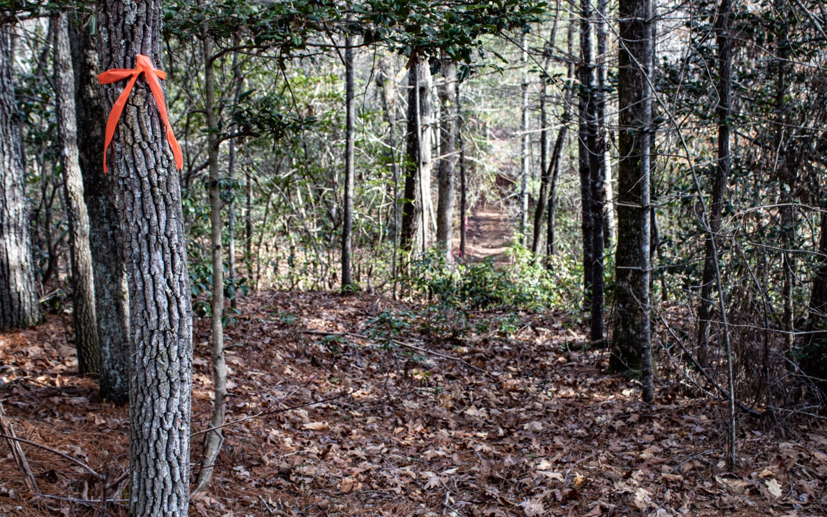 Burgertown Road Copperhill, TN 37317 - Photo 6 of 12 Additional View