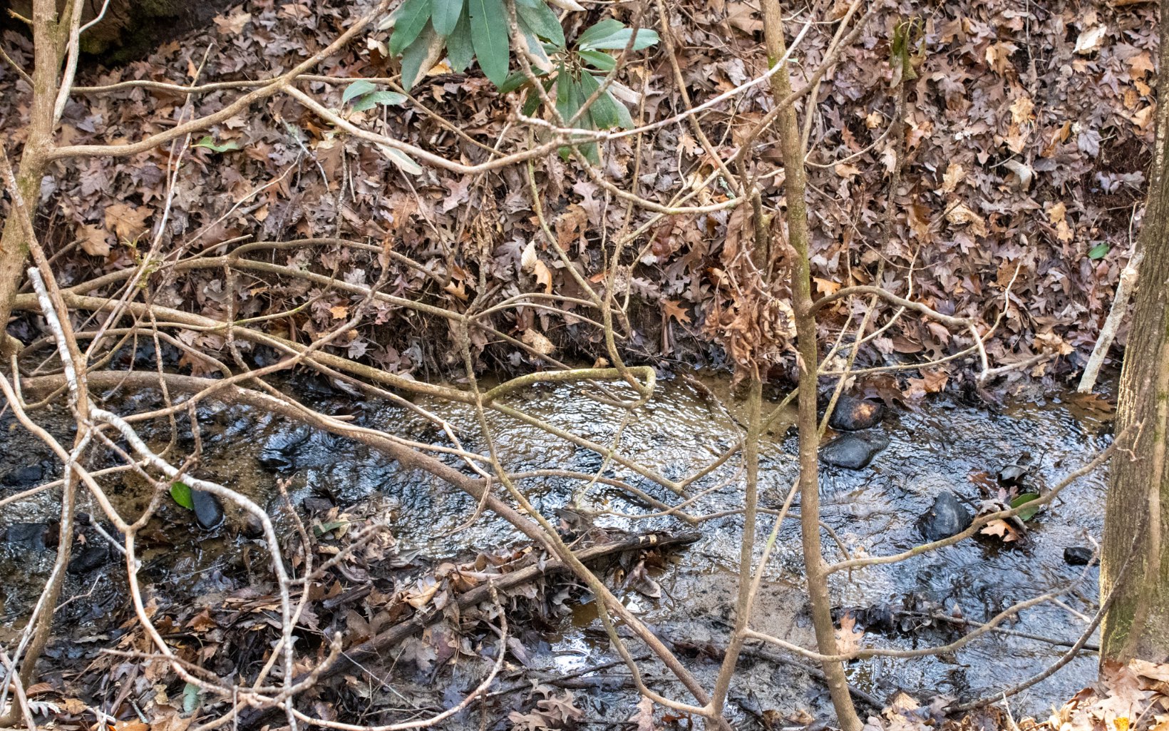 Burgertown Road Copperhill, TN 37317 - Photo 7 of 12 Additional View