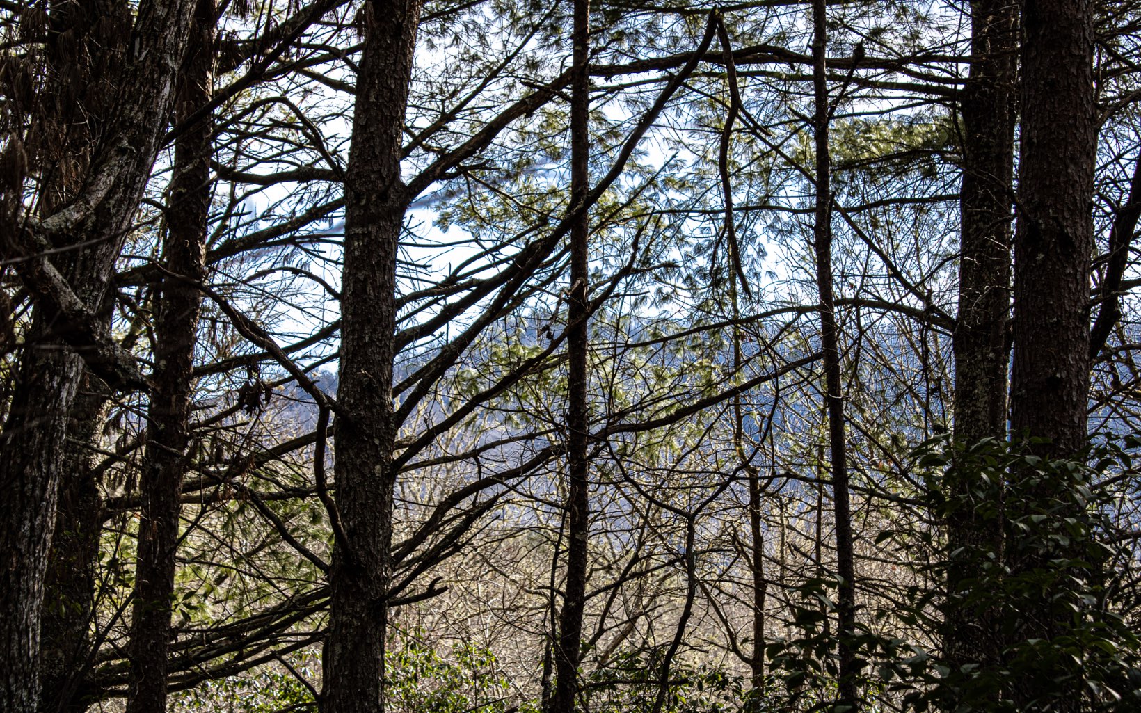 Burgertown Road Copperhill, TN 37317 - Photo 8 of 12 Additional View