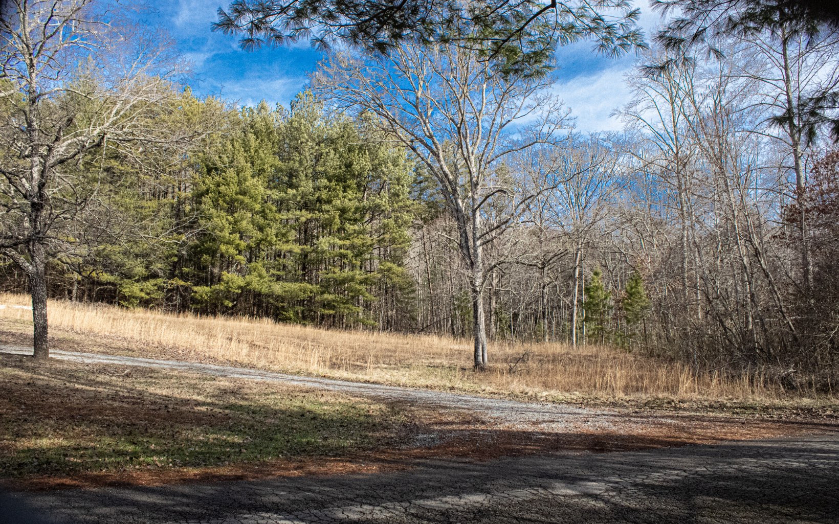 Burgertown Road Copperhill, TN 37317 - Photo 9 of 12 Additional View
