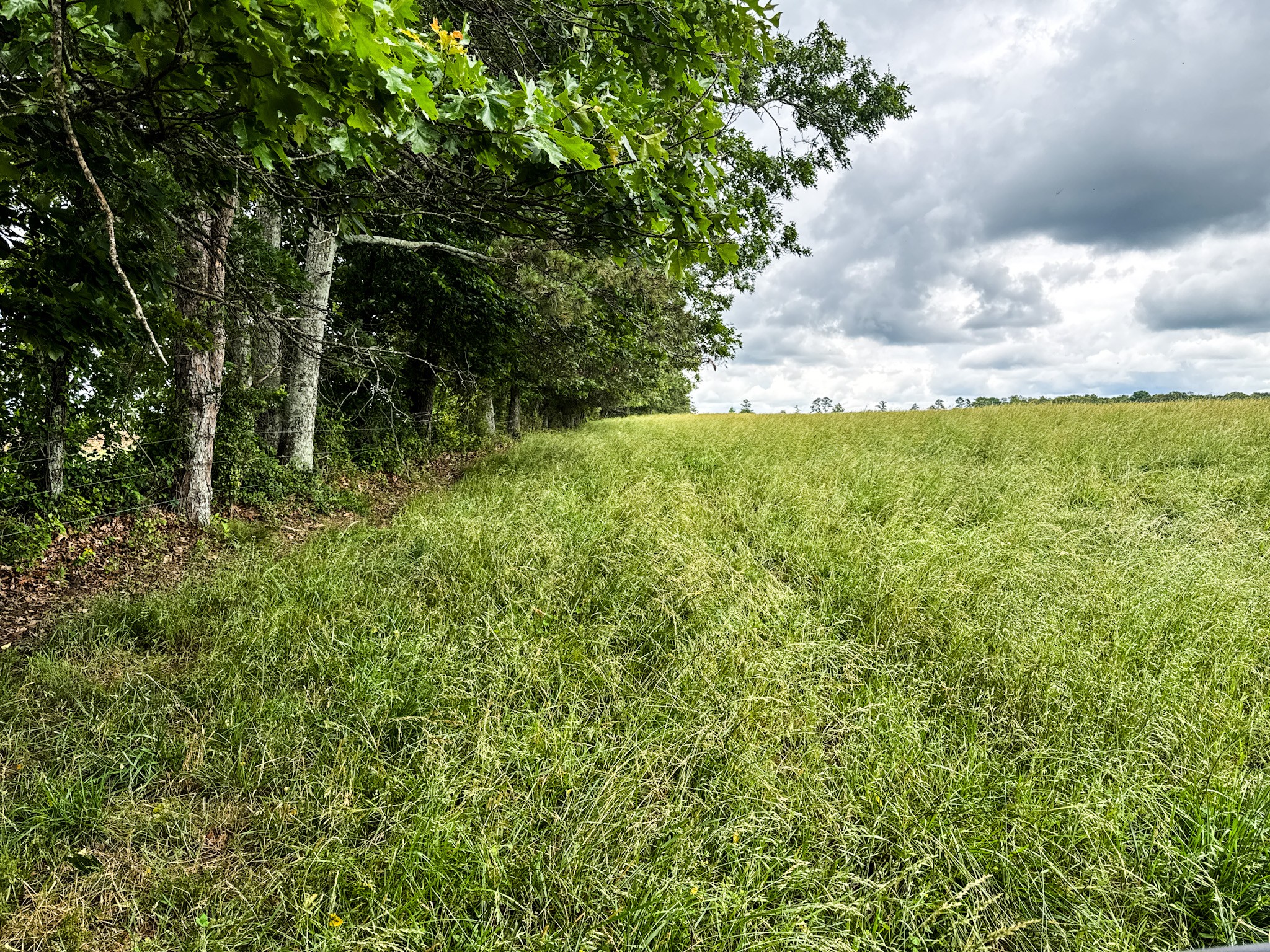 0 David Patterson Road Lutts, TN 38471 - Photo 11 of 58