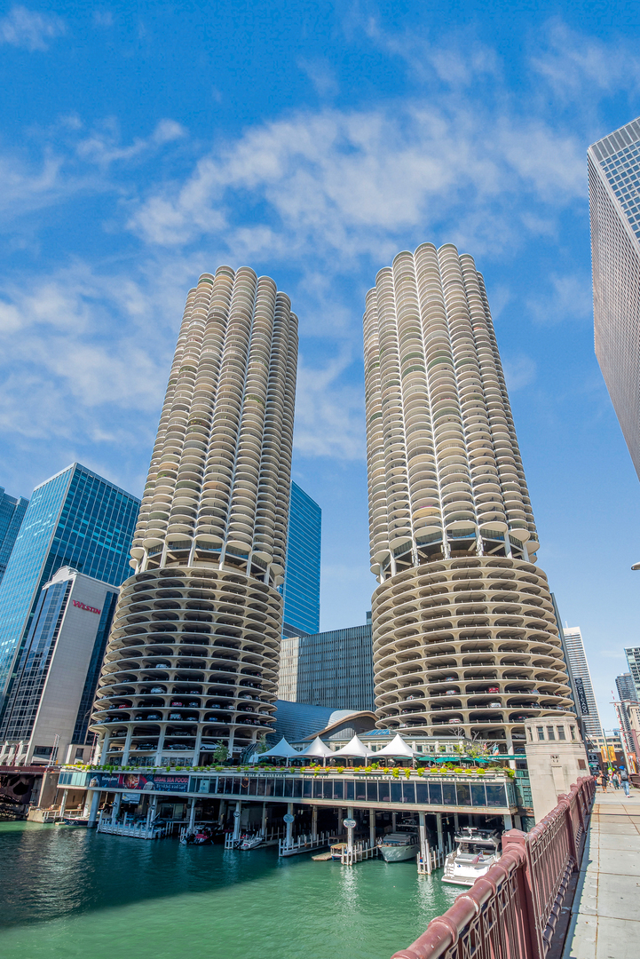 300 North State Street, Unit 5130 Chicago, IL 60654 - Photo 11 of 11