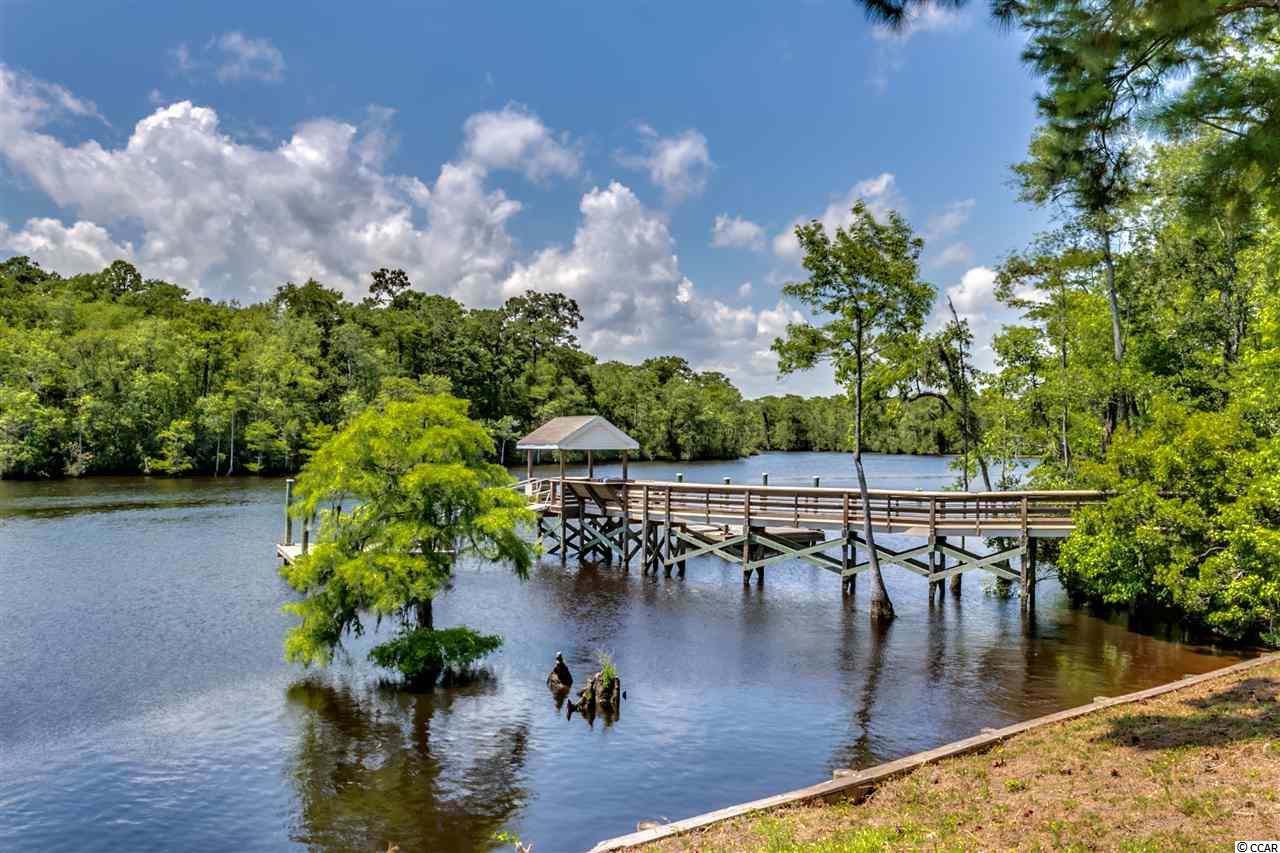 436 Rustic Court, Unit 436 Myrtle Beach, SC 29588 - Photo 23 of 24 Gallery Image 23