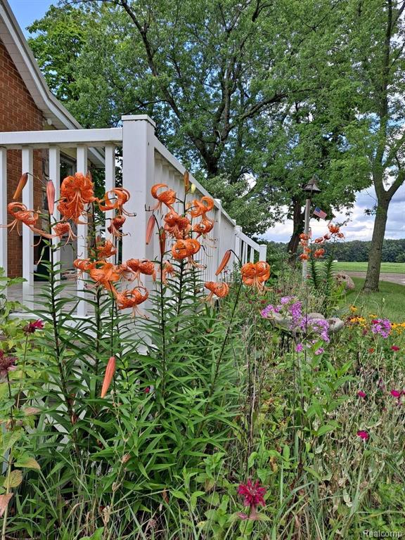 6099 Booth Road North Branch, MI 48461 - Photo 56 of 92