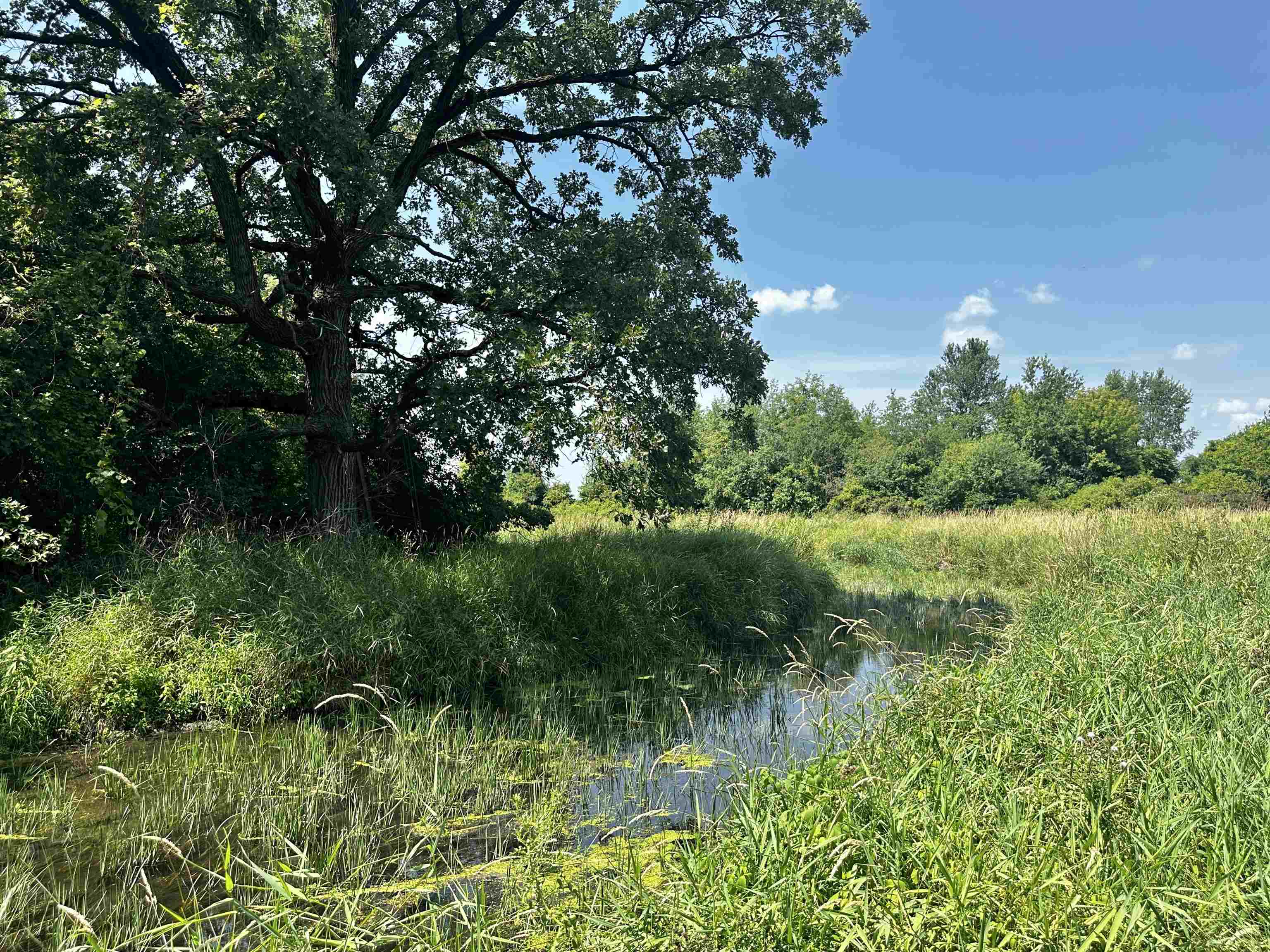 N11565 Lakeland Road Waupun, WI 53963 - Photo 82 of 90 Gallery Image 82