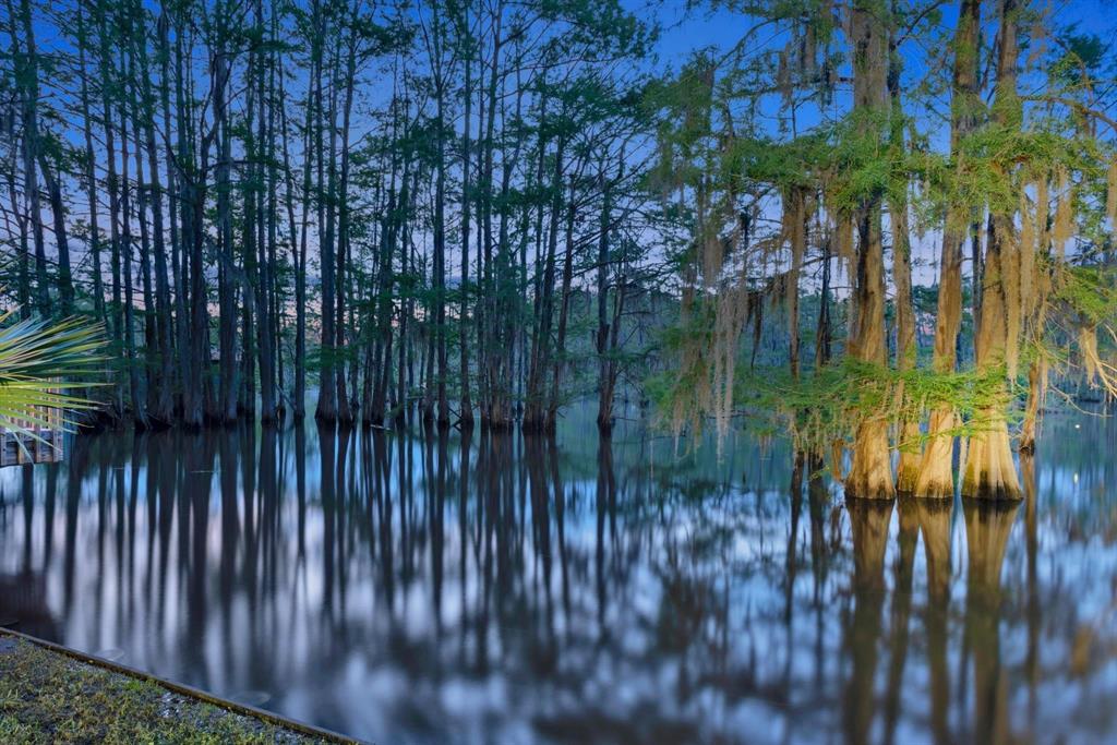 613 Moore Road Elm Grove, LA 71051 - Photo 37 of 39 Custom lake lighting