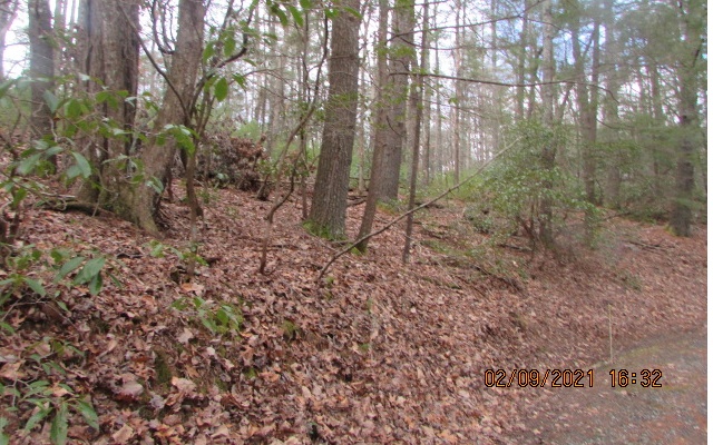 K12 Waters Road Ellijay, GA 30536 - Photo 2 of 4 Additional View