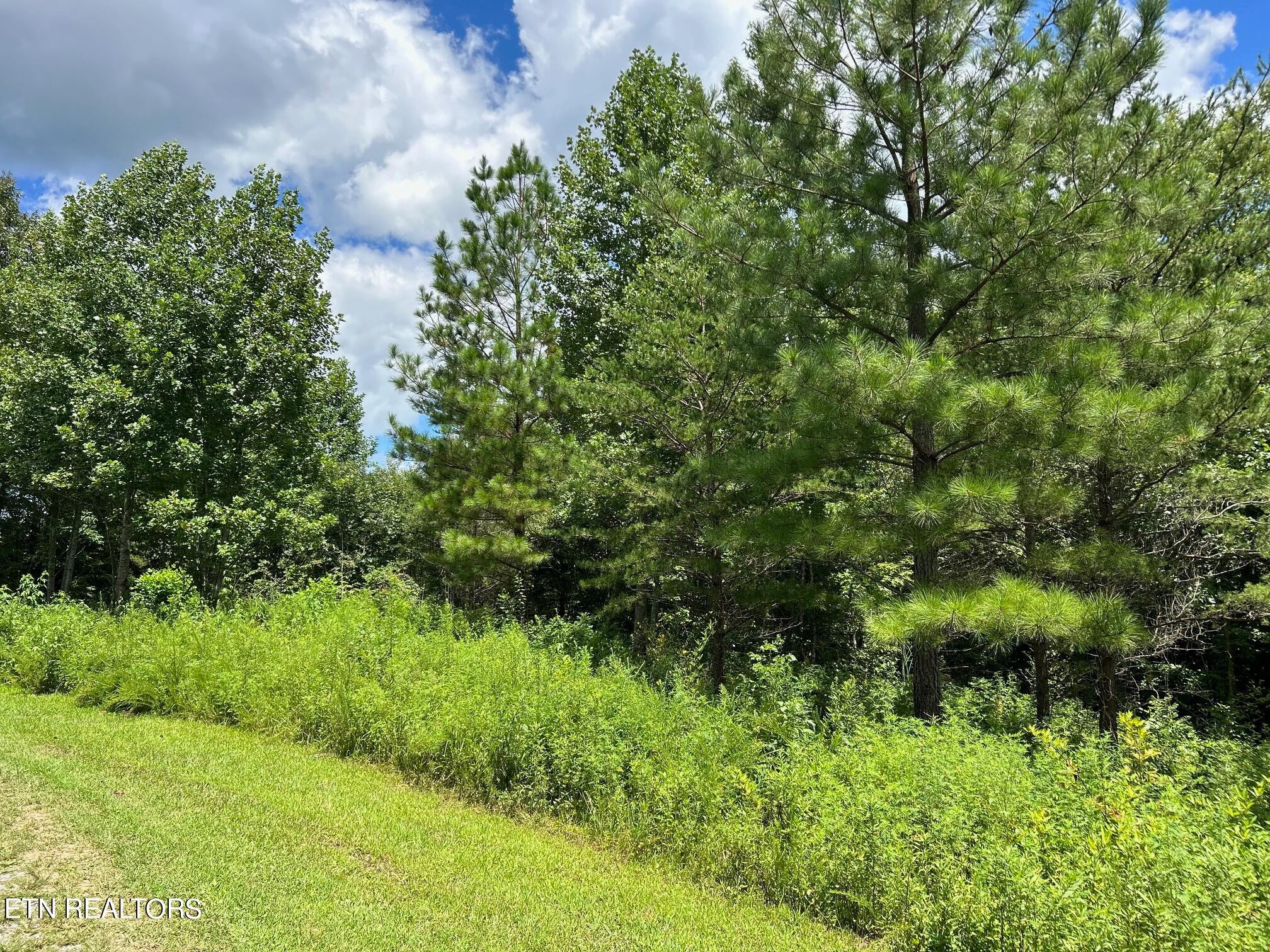 5945 Athens Road Calhoun, TN 37309 - Photo 35 of 44