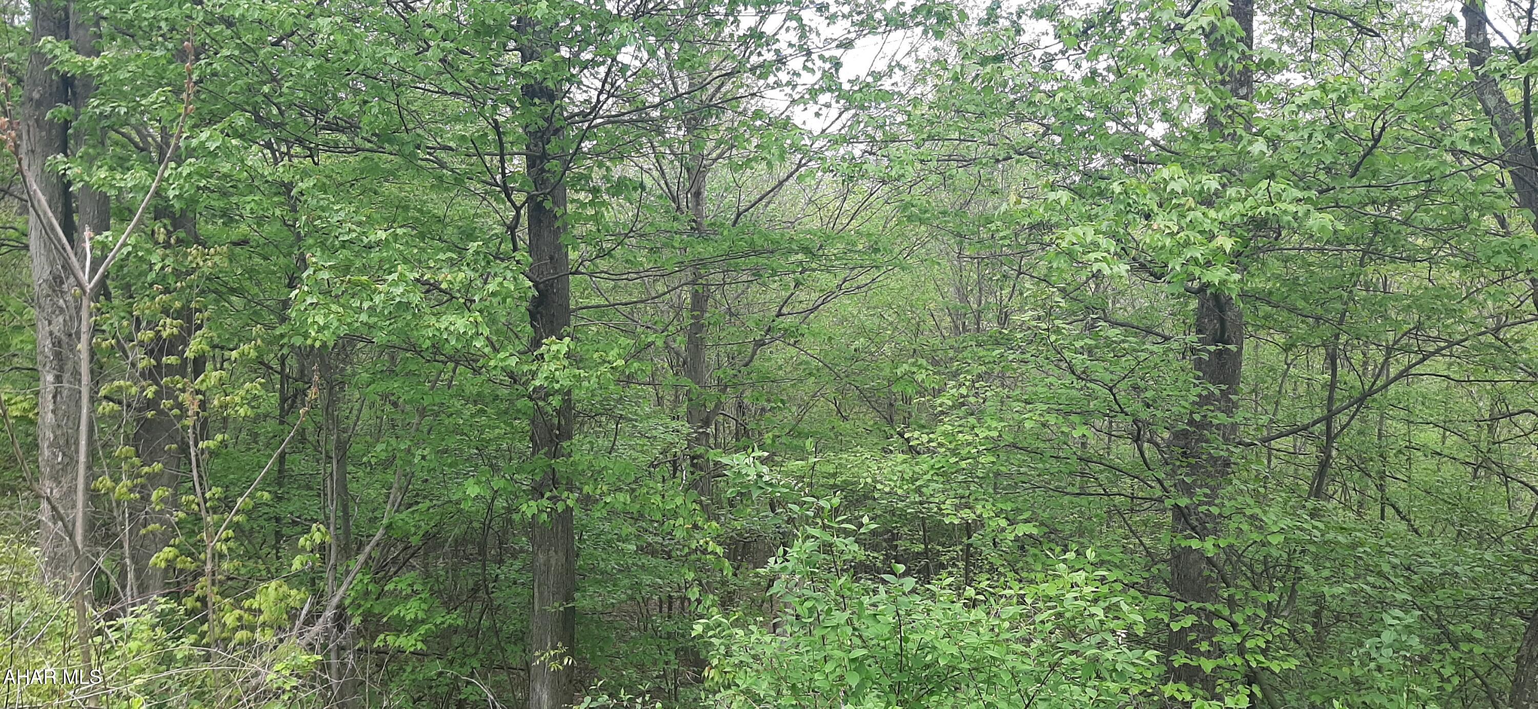 0 Scanlon Hill Road Lilly, PA 15938 - Photo 6 of 7