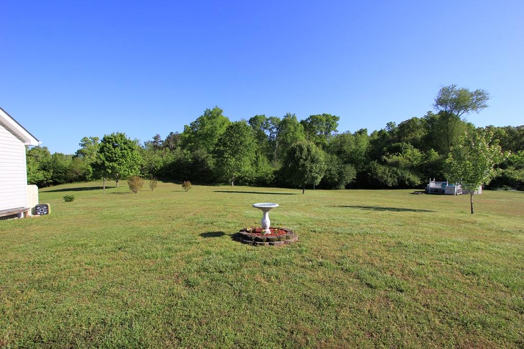 1415 Thatcher Road Soddy Daisy, TN 37379 - Photo 21 of 21 Backyard