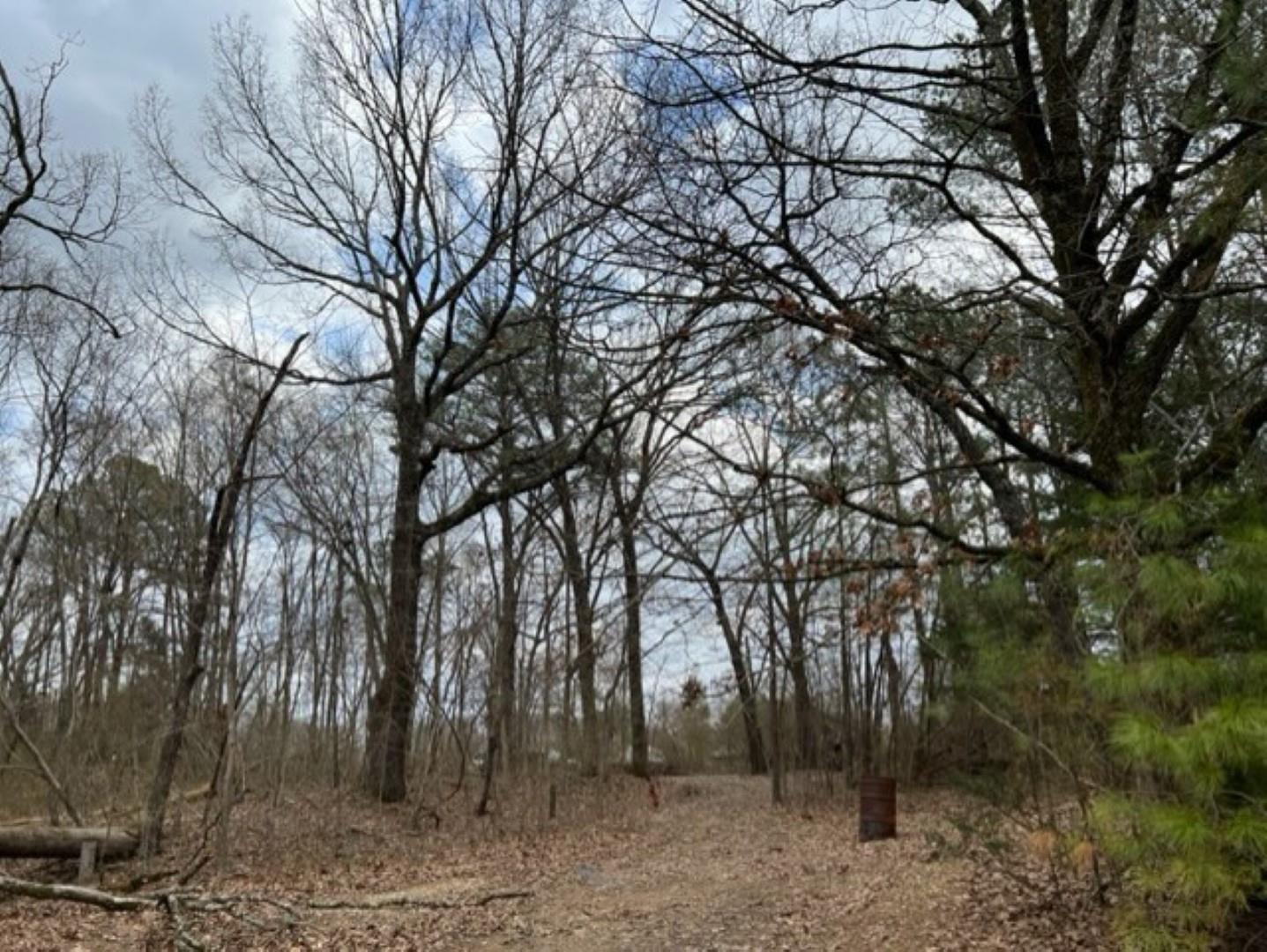 0 Fawn Road Oakland, TN 38060 - Photo 3 of 21 Gallery Image 3