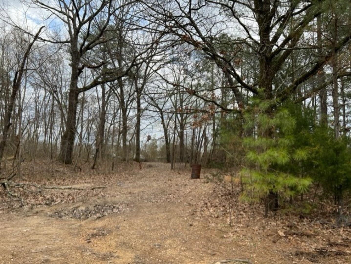 0 Fawn Road Oakland, TN 38060 - Photo 5 of 21 Gallery Image 5