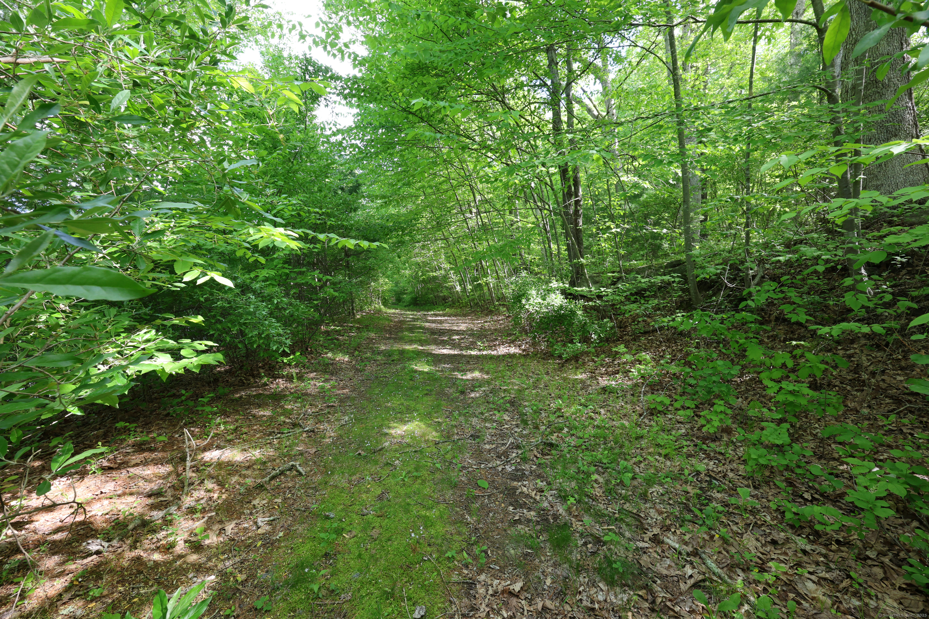 201 Diamond Ledge Road Stafford, CT 06076 - Photo 21 of 25 a view of a lush green forest
