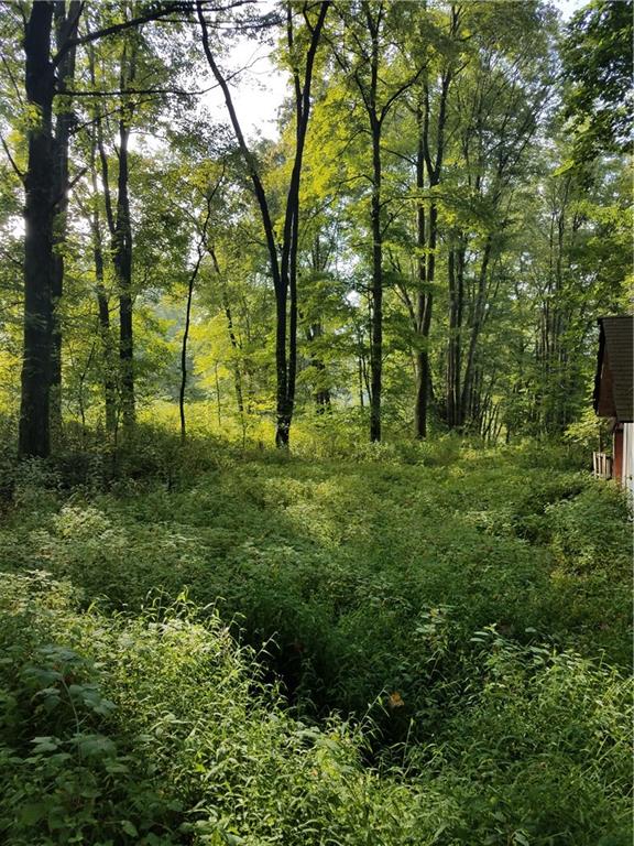 106 Fahlor Road Cowansville, PA 16218 - Photo 5 of 20
