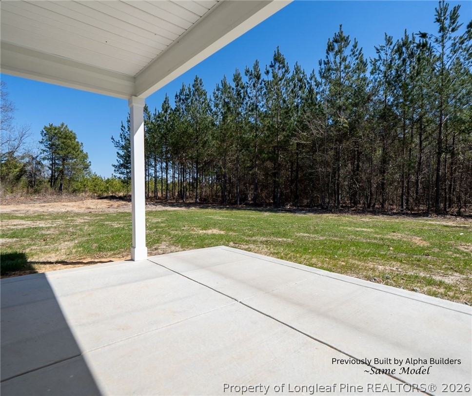 973 Martin Road St. Pauls, NC 28384 - Photo 19 of 19 Covered back patio with spacious outdoor area perfect for relaxing or entertaining.