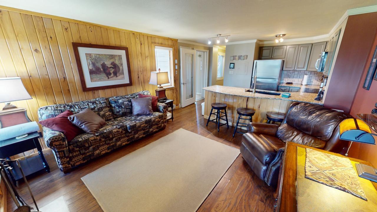 44 Powderidge Road Snowshoe, WV 26209 - Photo 2 of 13 Gallery Image 2