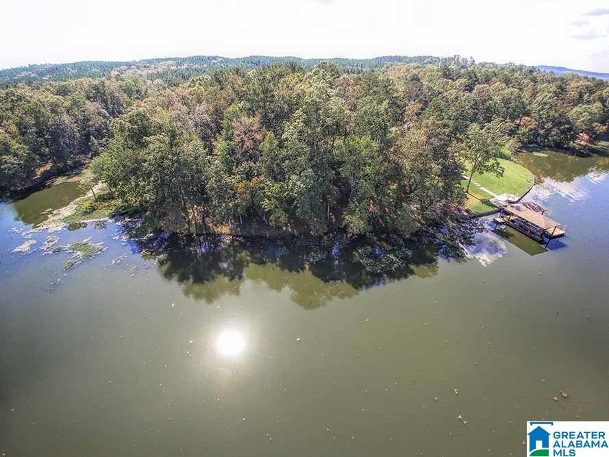 Castaway Road Sylacauga, AL 35151 - Photo 20 of 28