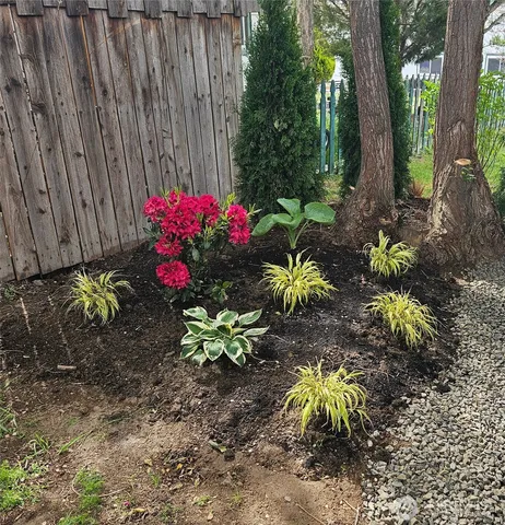 a view of a backyard with plants
