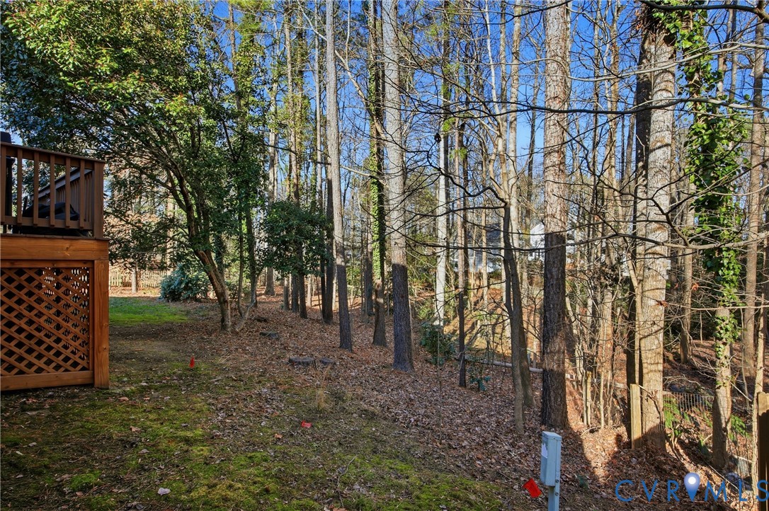 4221 Uppingham Road Richmond, VA 23235 - Photo 46 of 46