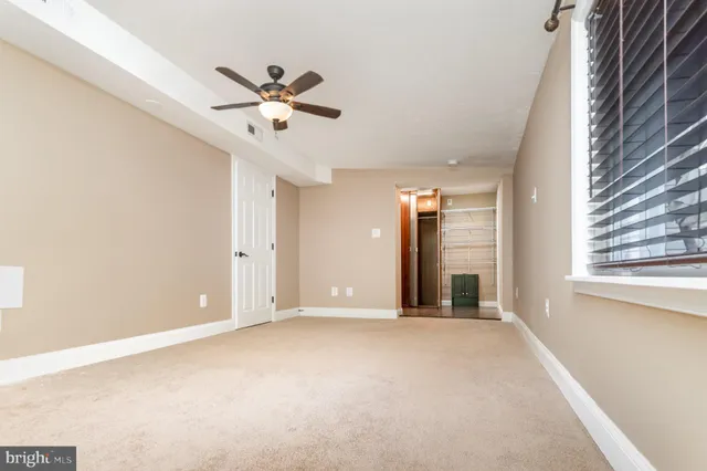 a backyard of a house with plants and large tree