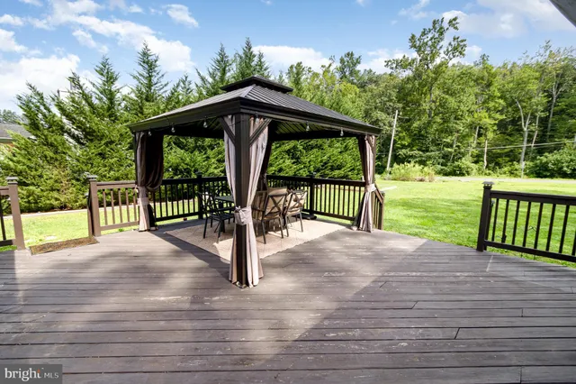 a view of a yard with plants and trees