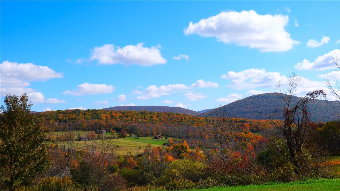 797 Lower Meeker Hollow Road Roxbury, NY 12474 - Photo 3 of 33