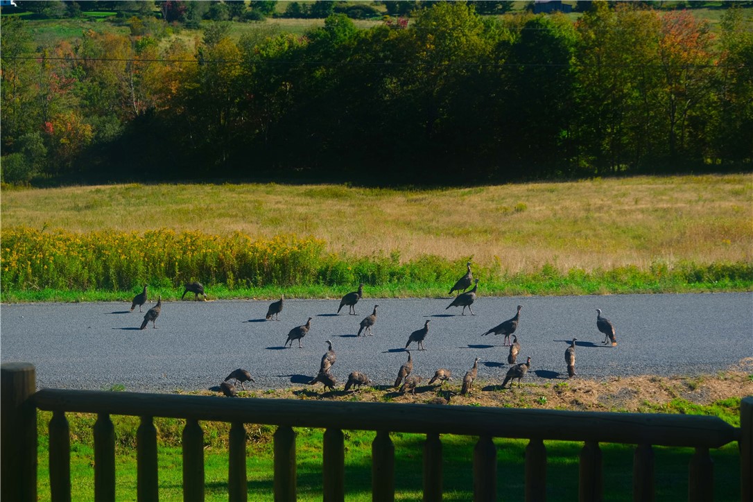 797 Lower Meeker Hollow Road Roxbury, NY 12474 - Photo 6 of 33