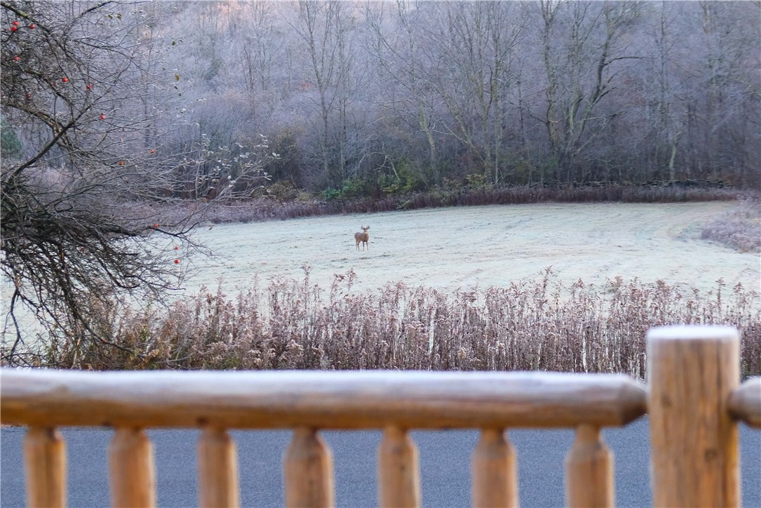 797 Lower Meeker Hollow Road Roxbury, NY 12474 - Photo 8 of 33