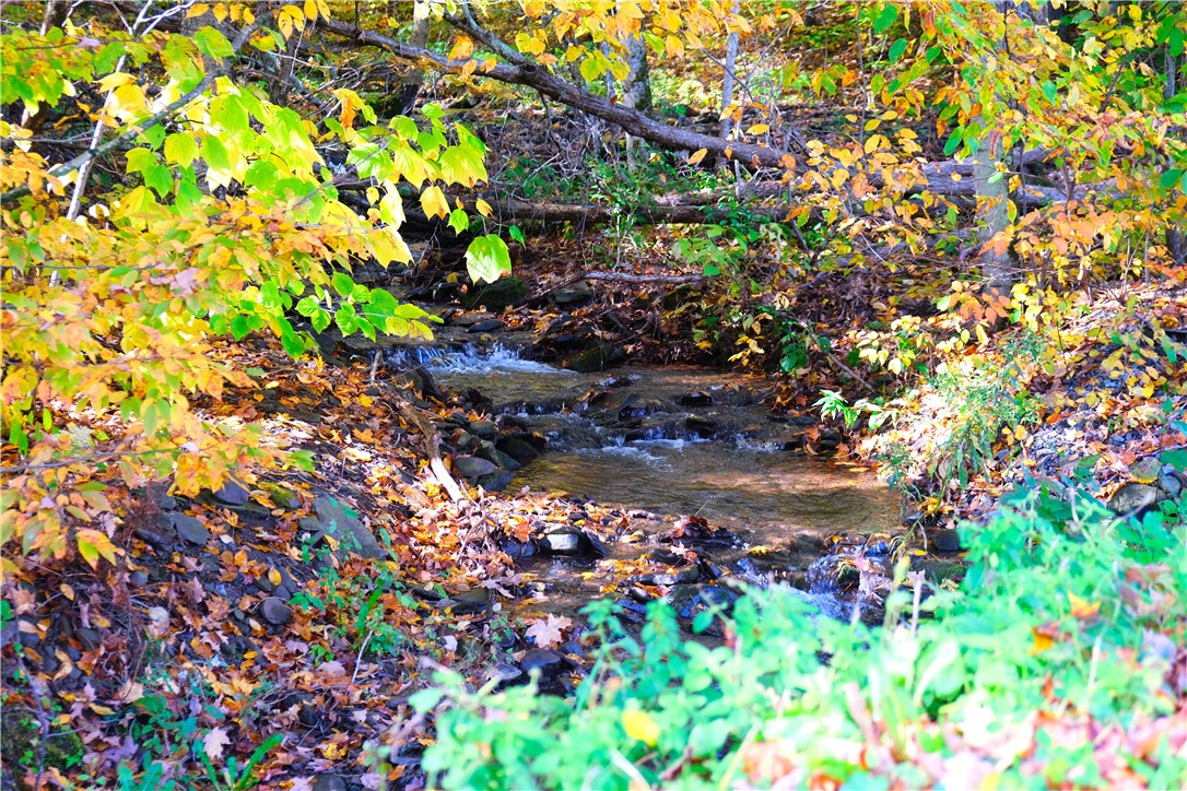 797 Lower Meeker Hollow Road Roxbury, NY 12474 - Photo 9 of 33