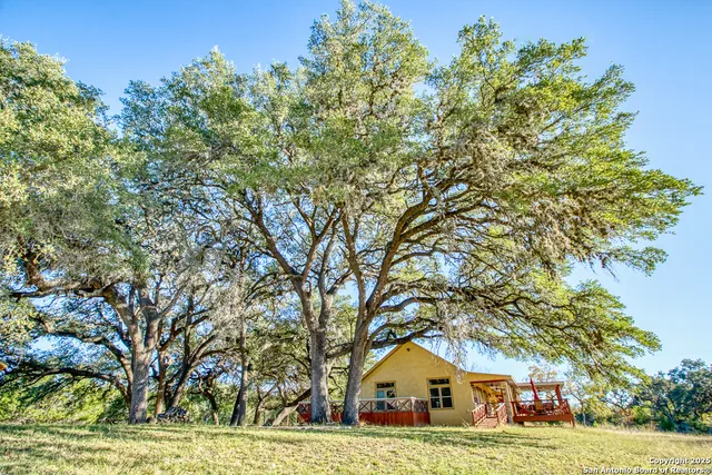 a view of a yard with a tree